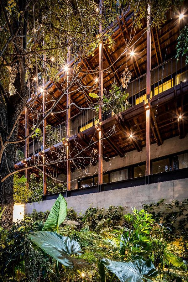 Ana Polanco Apartments Mexico City Exteriör bild